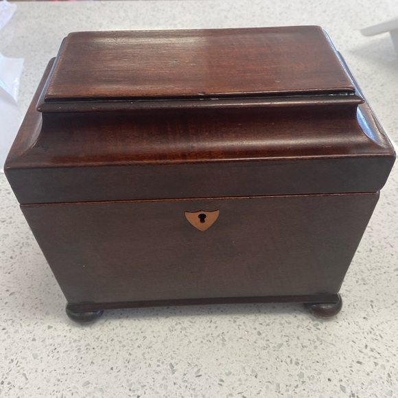 Regency Mahogany Sarcophagus Tea Caddy